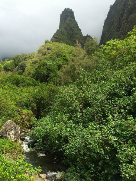 The Iao Needle itself.