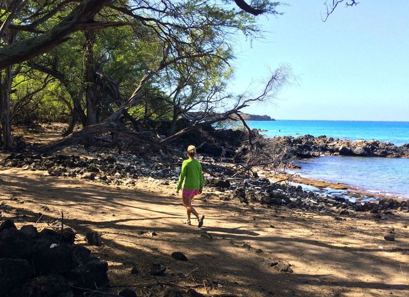 A brief forested section between the lava flows