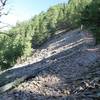 Scree field on the west side.