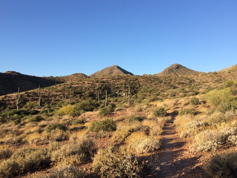 View of Thompson Peak from the Bell Pass Trail