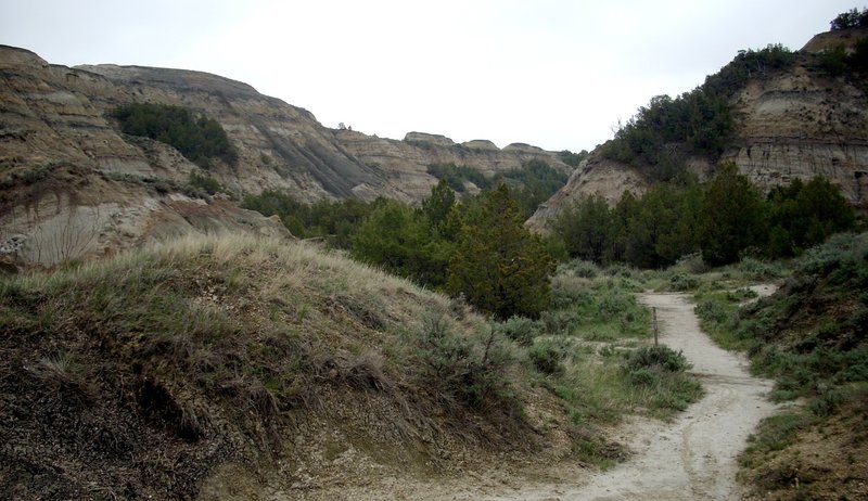 Narrow Coulee