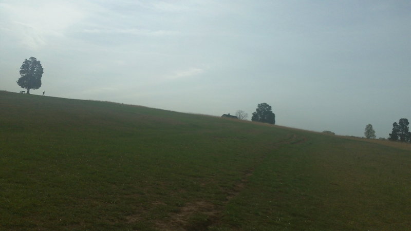 Looking up hill on the Henry Hill Climb