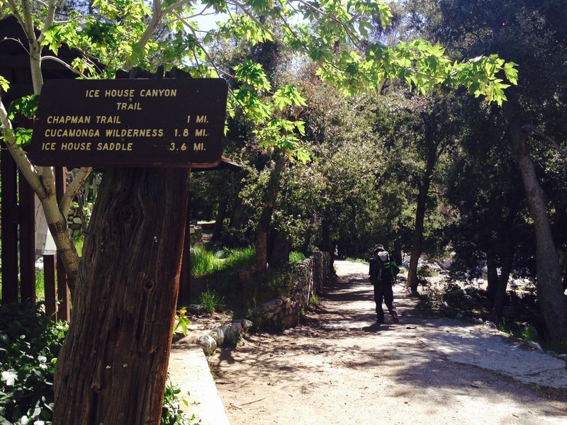 The first segment of the trail is very flat and accessible as it runs along the creek.