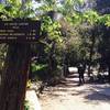 The first segment of the trail is very flat and accessible as it runs along the creek.