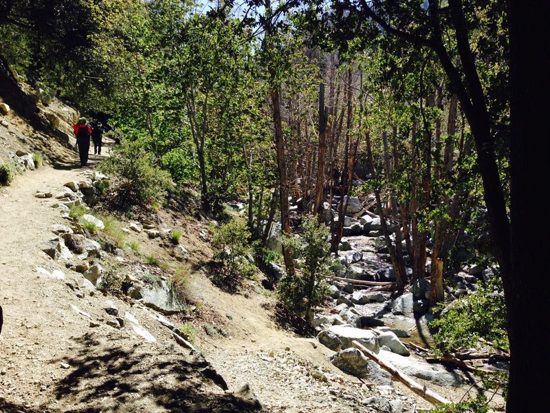 Spring colors are beautiful along the riverbed.  The different ecologies along this hike are one of its strongest features.