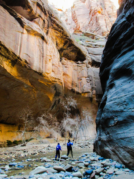 A cold, quiet hike in The Narrows