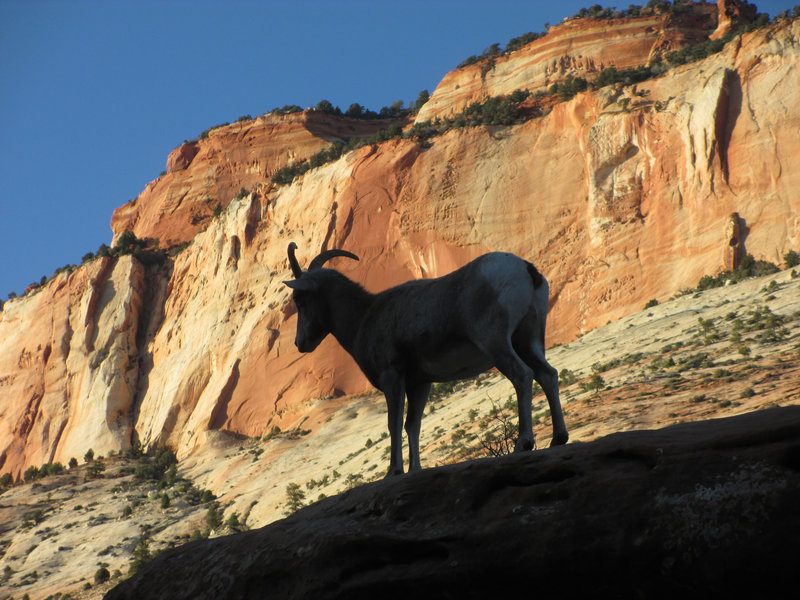 Typical scenery on The Canyon Overlook Trail