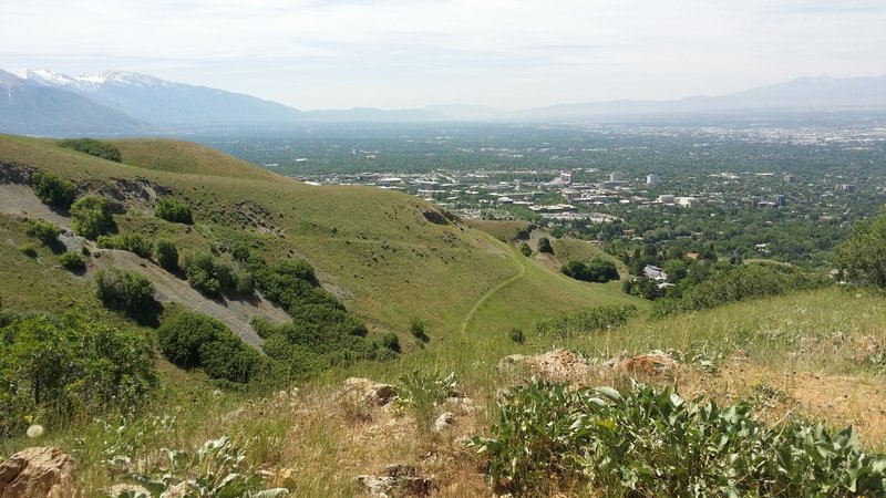 Hiking City Creek Canyon - Salt Lake City - Road Trip Ryan