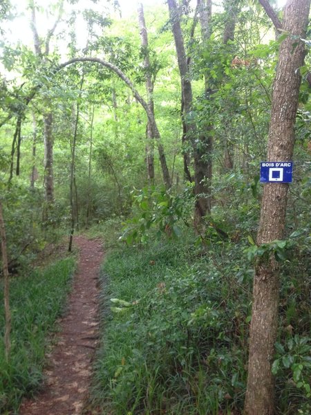 Top of Bois d'Arc Trail