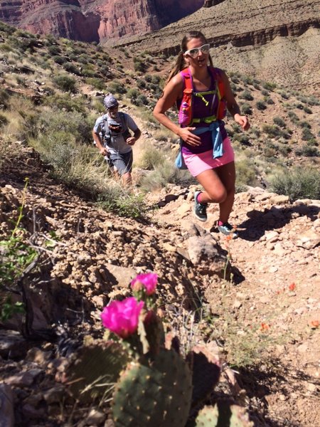 Cruising the Tonto Trail, matching the cactus flowers.