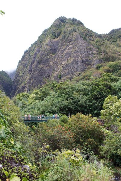 Tourists on the bridge.