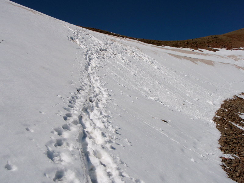 Late season snowfield below Hyalite Peak.