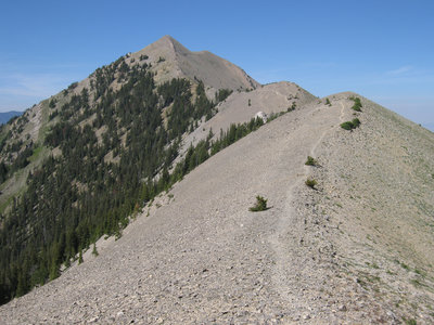 The Bridger Ridge
