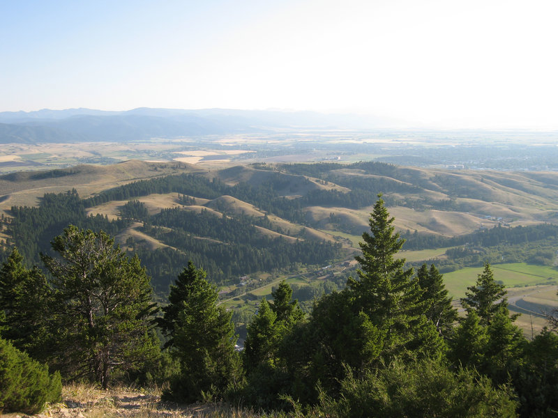 Above the "M" Trail descending off the Bridger Ridge.