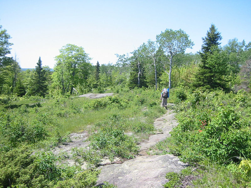 Solid rock trail portion of the Greenstone Ridge Trail