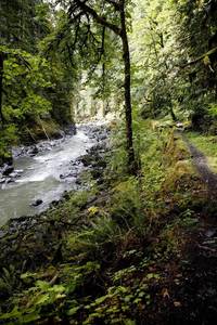 Old Robe Canyon Trail by river