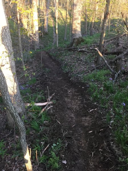 Rolling hills on Trail C.