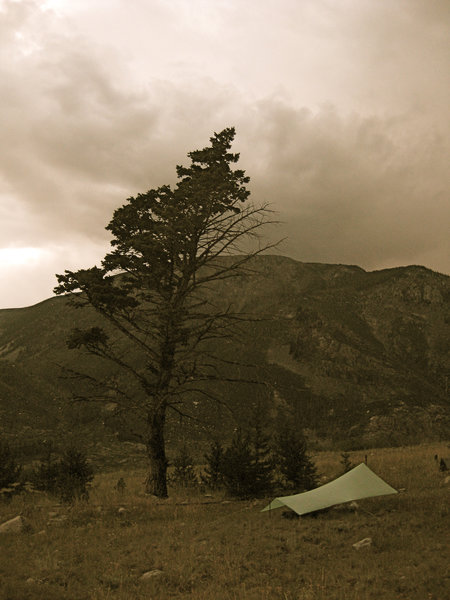 Tarping in the Wilderness