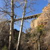 Looking at Midgley Bridge form the bottom of the canyon