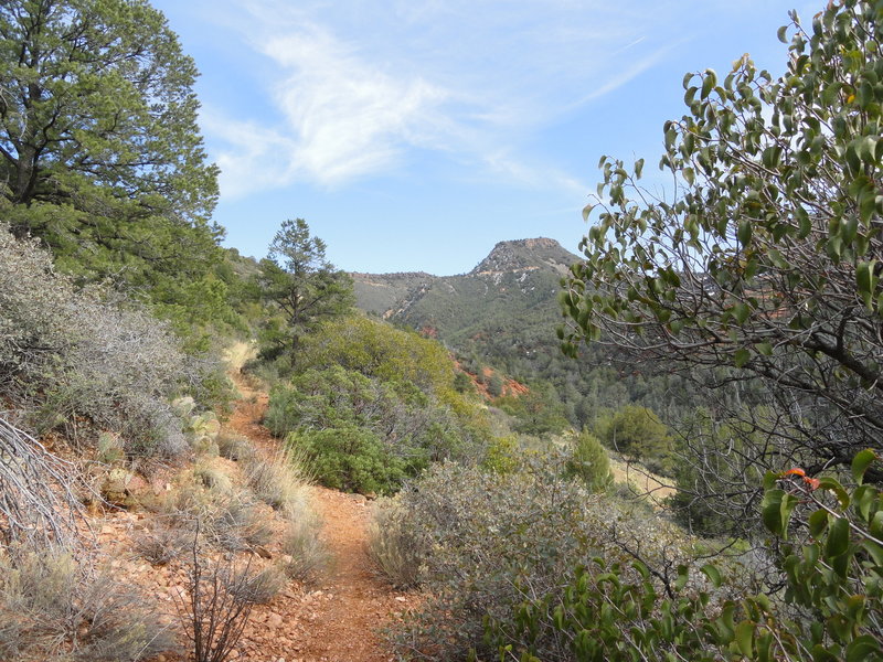 View looking up Casner Canyon