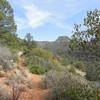 View looking up Casner Canyon