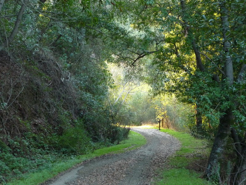 Trailhead path