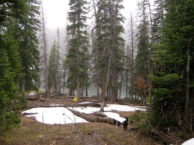 Coffin Lake camp