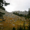 Looking up Hellroaring basin