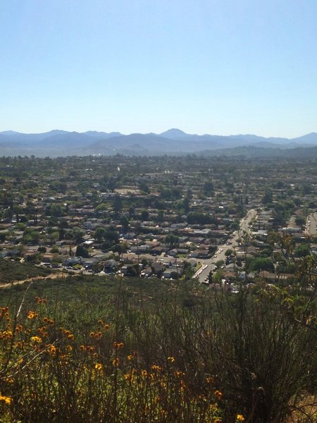 A few steps from the Barker Way trailhead and wildflowers begin to appear.