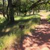 Jade my dog coming back to get me. Heading down to South Fork of the American River