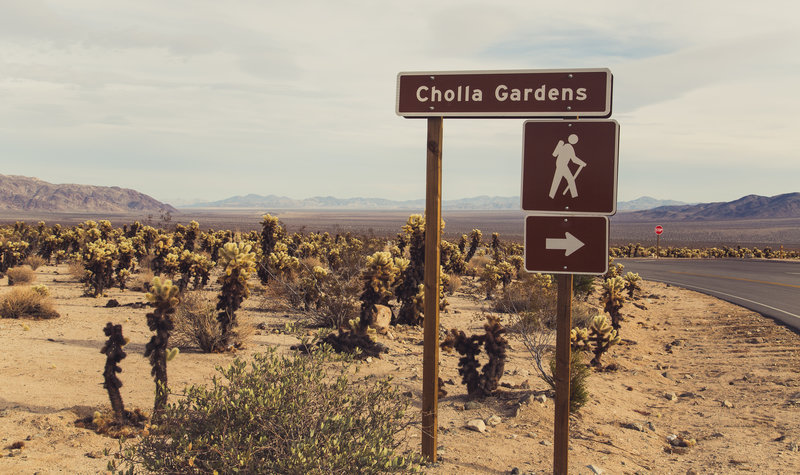 Cholla Cactus Garden signage