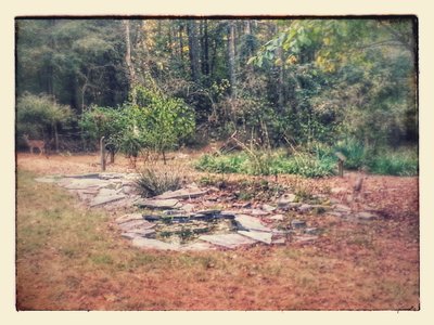 Running buddies. Can you see them?