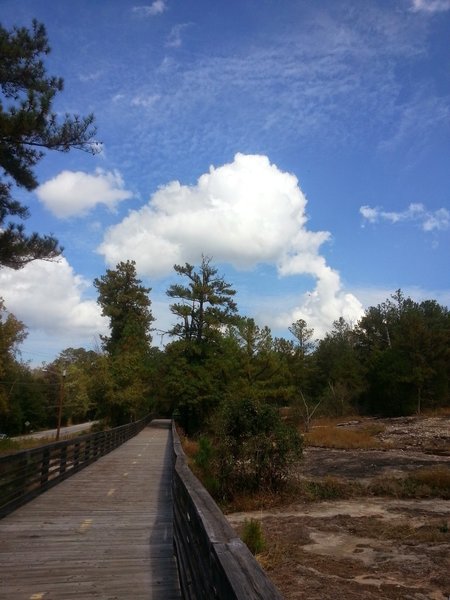 Boardwalk path along Klondike Rd.