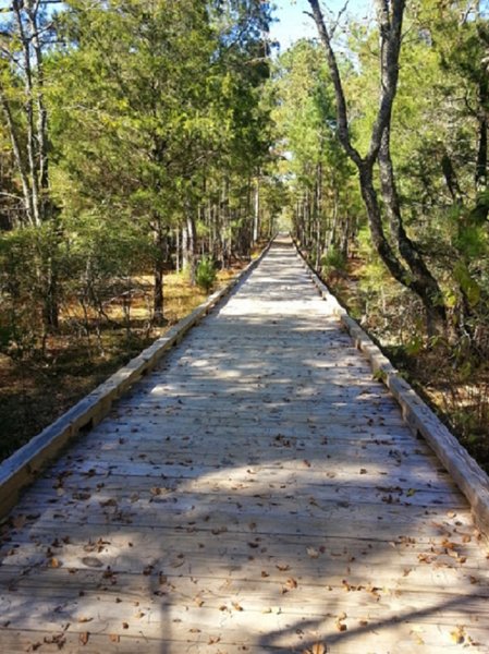 Boardwalk leading to Panola Mtn. Outlook.