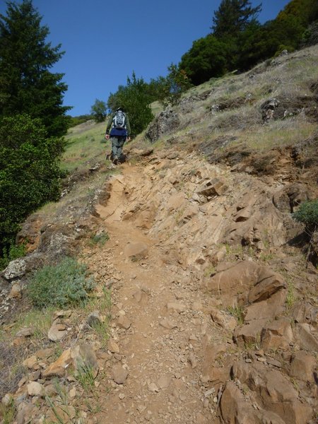 One tiny section requires good footing.  We once found a rattlesnake here.