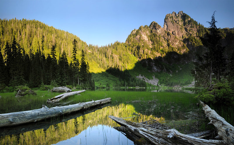 Heather Lake view