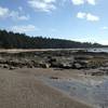 The beach portion of the Ozette Triangle (by Nicholas Gosling)