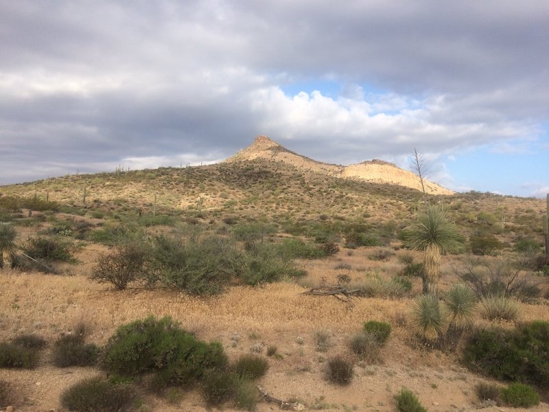 Cloudy day in the desert