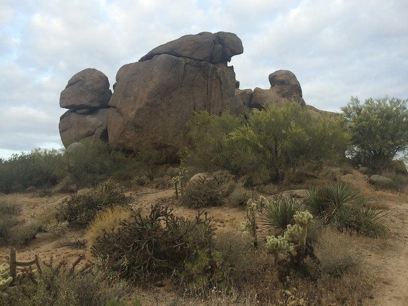 Cathedral Rock