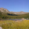 Looking toward headwaters of Sweeney Creek