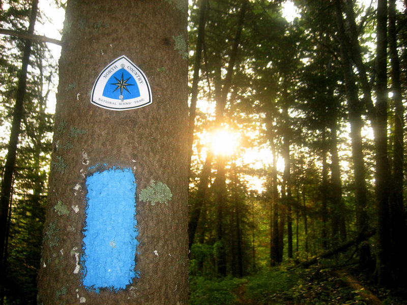 North Country Trail blaze and sign.