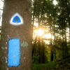 North Country Trail blaze and sign.