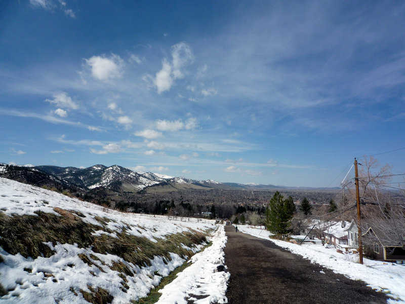 Looking down Bluebell Road.