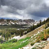 The view from Beaver Creek Trail.