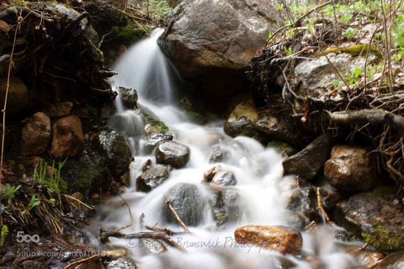 A beautiful stream on Cub Lake Trail!