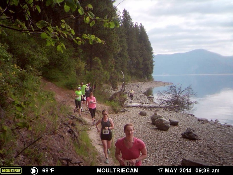 Shoreline Trail