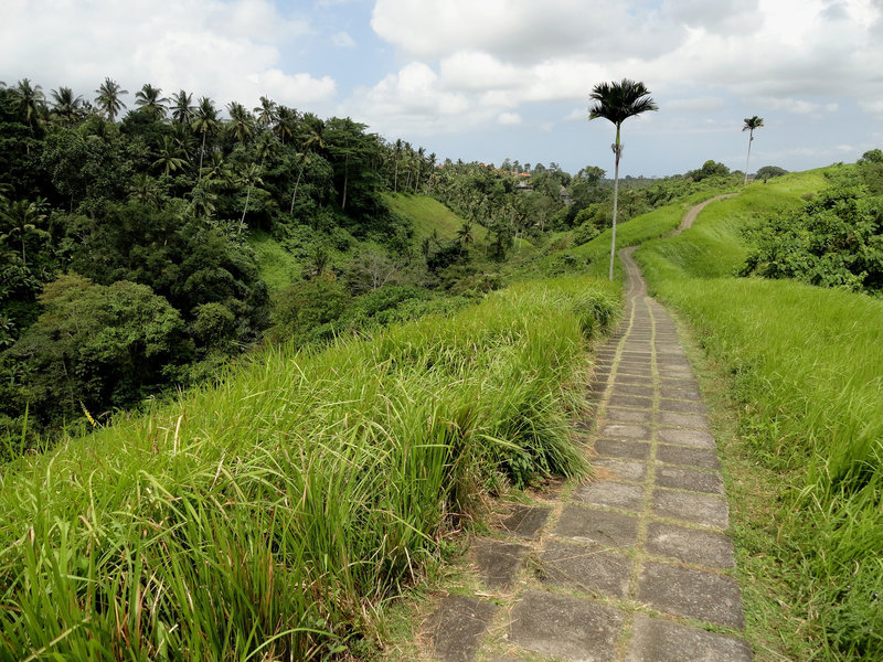 Campuhan Ridge Walk, Ubud, Bali