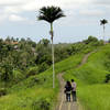 Campuhan Ridge Walk, Ubud, Bali