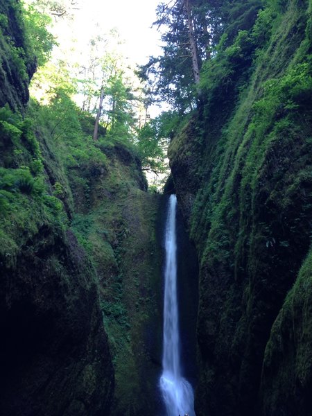 Oneonta Gorge at the falls.