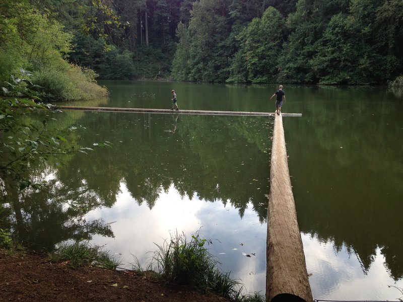 Cronmiller Lake - Balancing act along the trail.